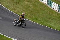 Vintage-motorcycle-club;eventdigitalimages;mallory-park;mallory-park-trackday-photographs;no-limits-trackdays;peter-wileman-photography;trackday-digital-images;trackday-photos;vmcc-festival-1000-bikes-photographs